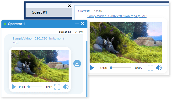 Les fichiers audio et vidéo peuvent être lus directement dans le chat Aperçu du fichier vidéo dans la fenêtre de chat en direct
